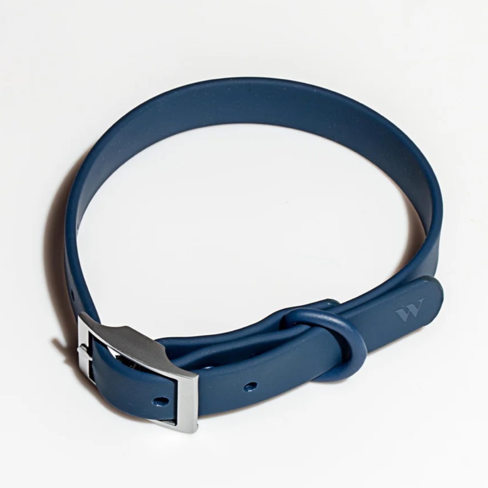 Wild One Dog Collar